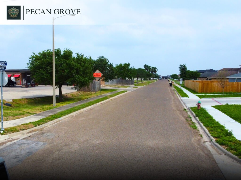 Residential street in Pecan Grove neighborhood